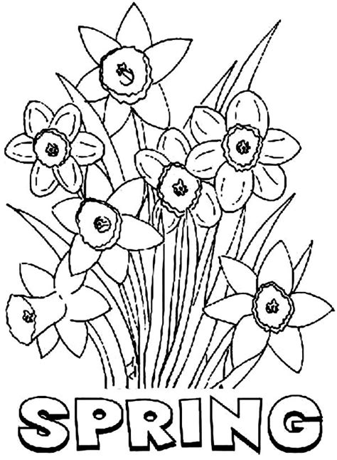 Spring Flowers Printable Coloring Pages